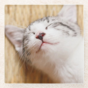Sleeping Kitten Glass Coaster