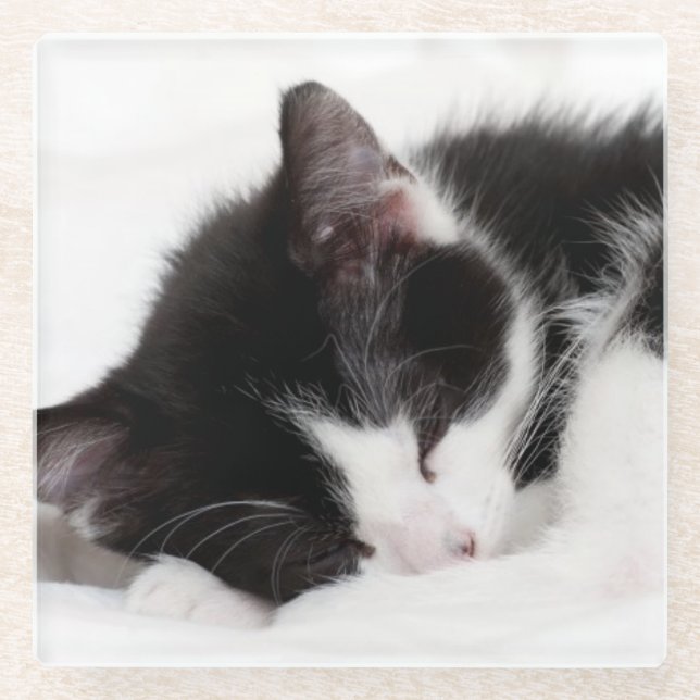 Sleeping Kitten Glass Coaster (Front)