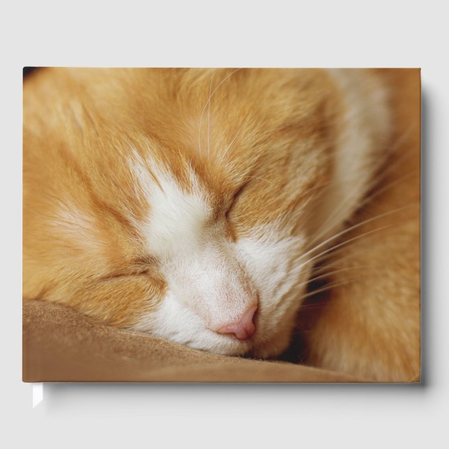 Sleeping Kitten Guest Book (Front)