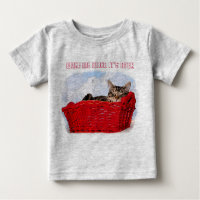Sleeping Kitten In Bright Red Basket