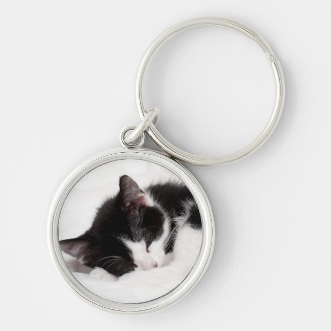 Sleeping Kitten Key Ring (Front)