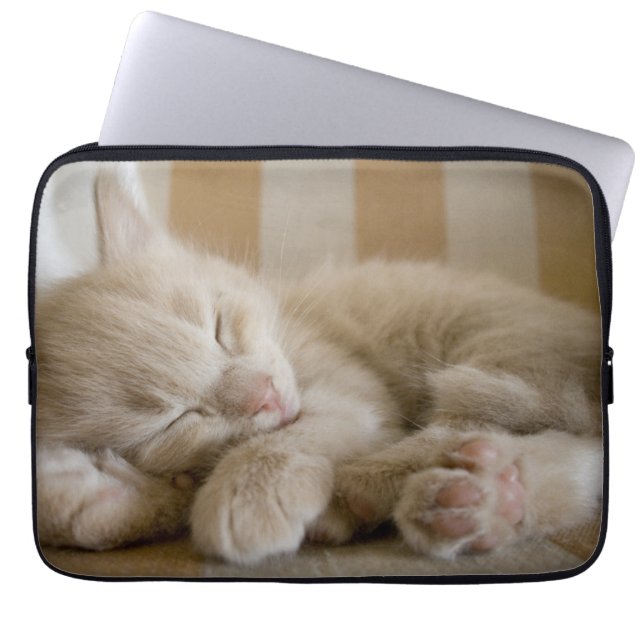 Sleeping Kitten Laptop Sleeve (Front)