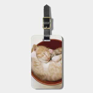 Sleeping Kitten Luggage Tag