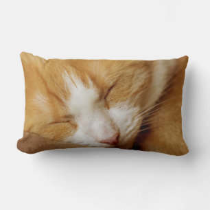 Sleeping Kitten Lumbar Cushion