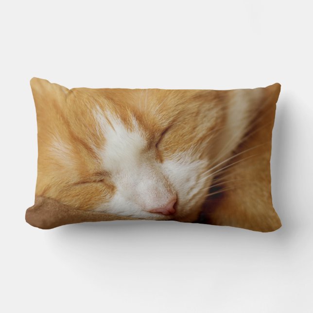 Sleeping Kitten Lumbar Cushion (Front)