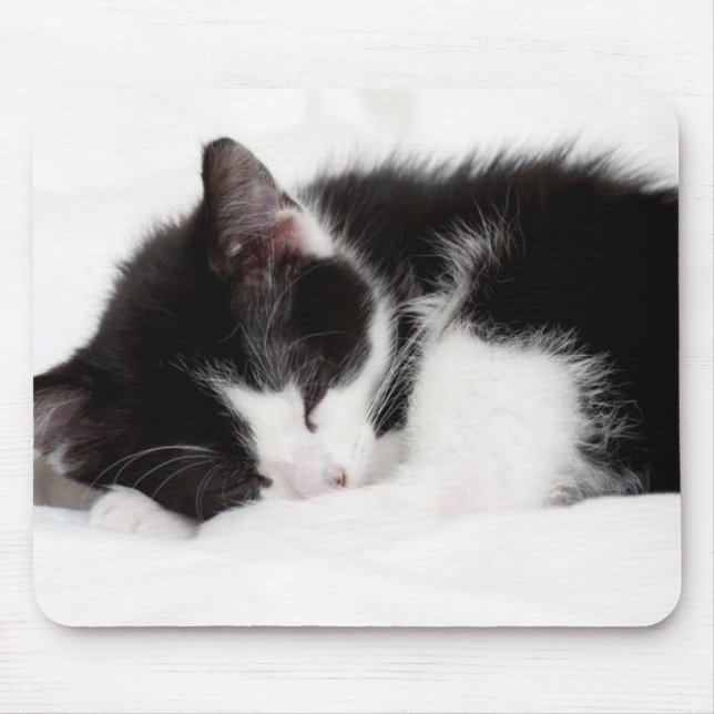 Sleeping Kitten Mouse Pad (Front)
