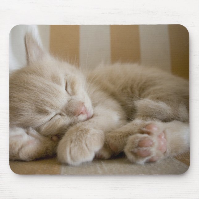 Sleeping Kitten Mouse Pad (Front)
