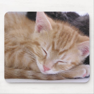Sleeping Kitten Mouse Pad