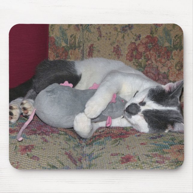 Sleeping Kitten Mouse Pad (Front)