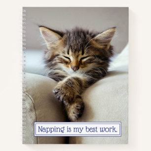Sleeping Kitten Notebook