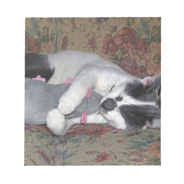 Sleeping Kitten Notepad (Front)