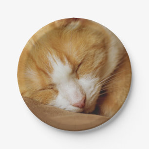 Sleeping Kitten Paper Plate