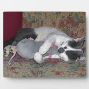 Sleeping Kitten Plaque