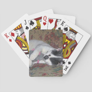 Sleeping Kitten Playing Cards