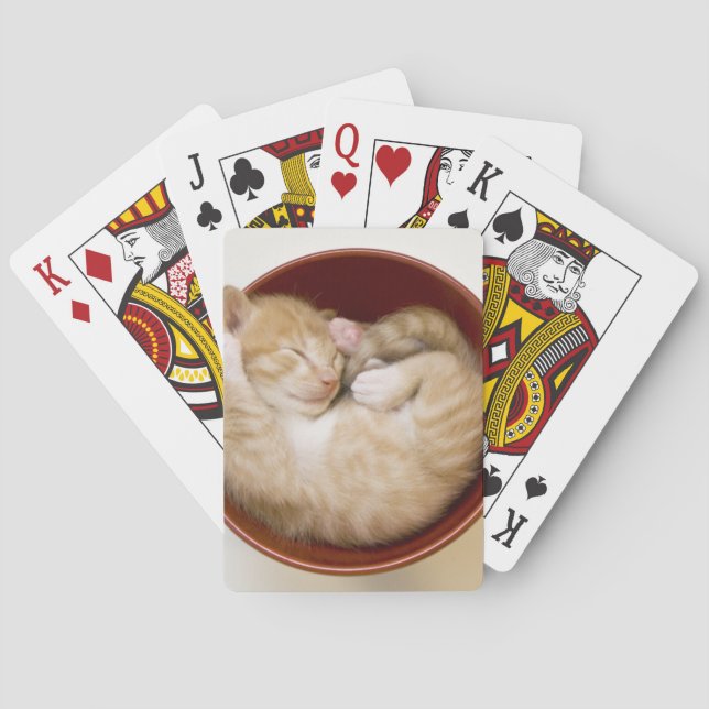 Sleeping Kitten Playing Cards (Back)