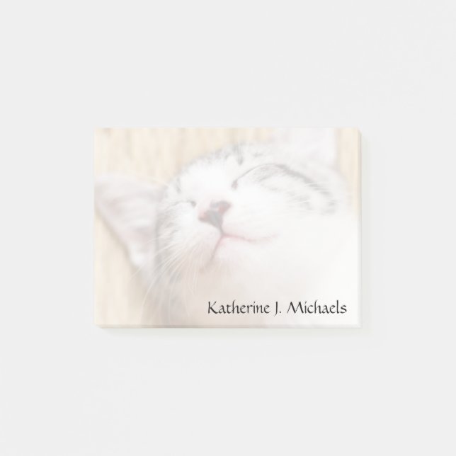 Sleeping Kitten Post-it Notes (Front)