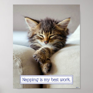 Sleeping Kitten Poster