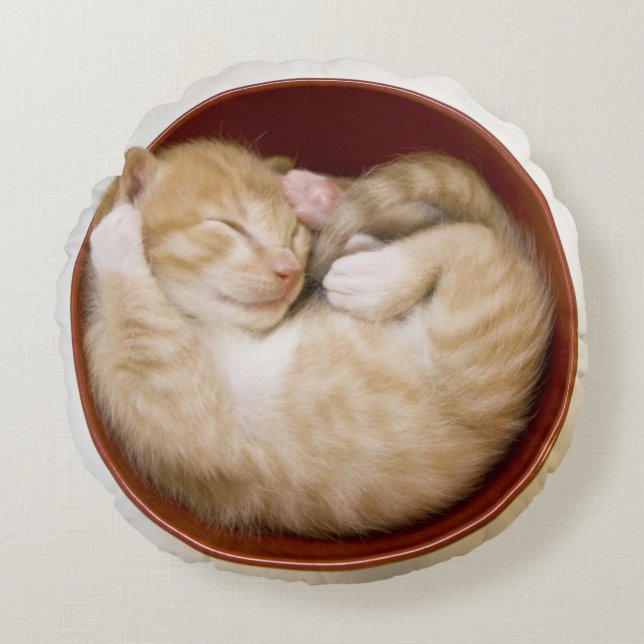 Sleeping Kitten Round Cushion (Front)