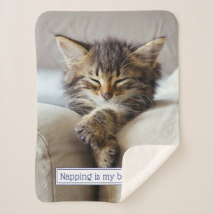 Sleeping Kitten Sherpa Blanket
