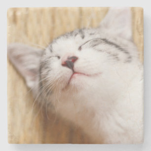 Sleeping Kitten Stone Coaster