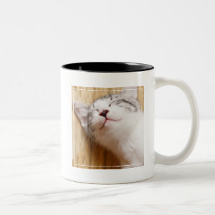 Sleeping Kitten Two-Tone Coffee Mug