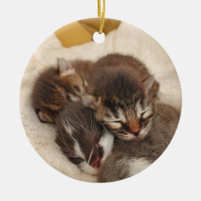 Sleeping kittens ceramic ornament (Front)