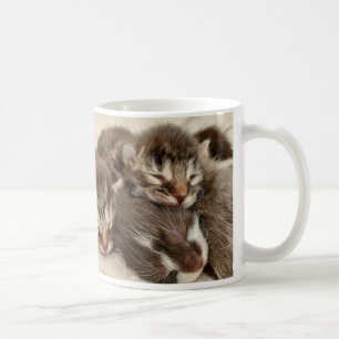 Sleeping kittens  coffee mug