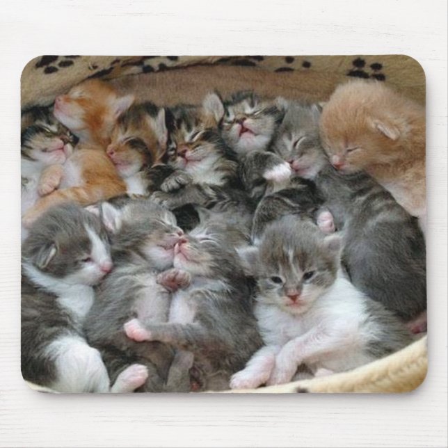 Sleeping Kittens Mouse Pad (Front)