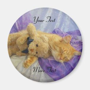 Sleeping Kitty Magnet