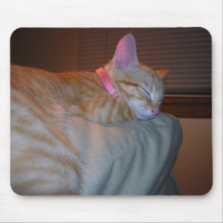 Sleeping Kitty Mouse Pad