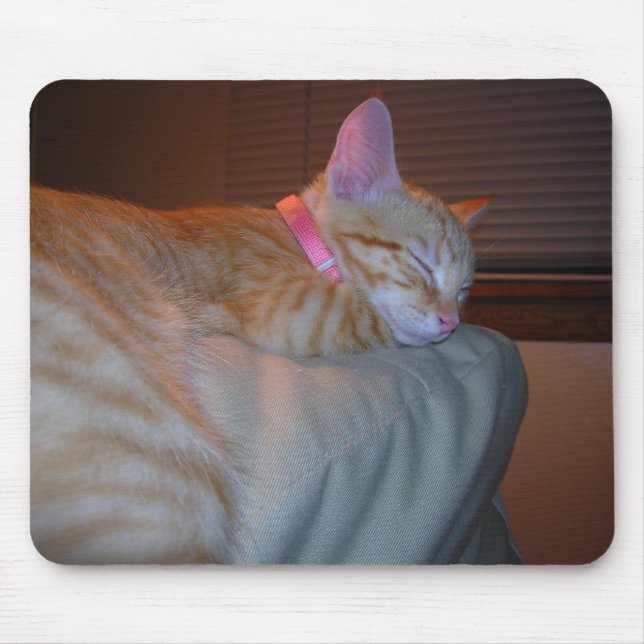 Sleeping Kitty Mouse Pad (Front)