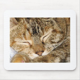 Sleeping Kitty Mousepad