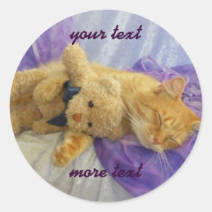 Sleeping Kitty Stickers