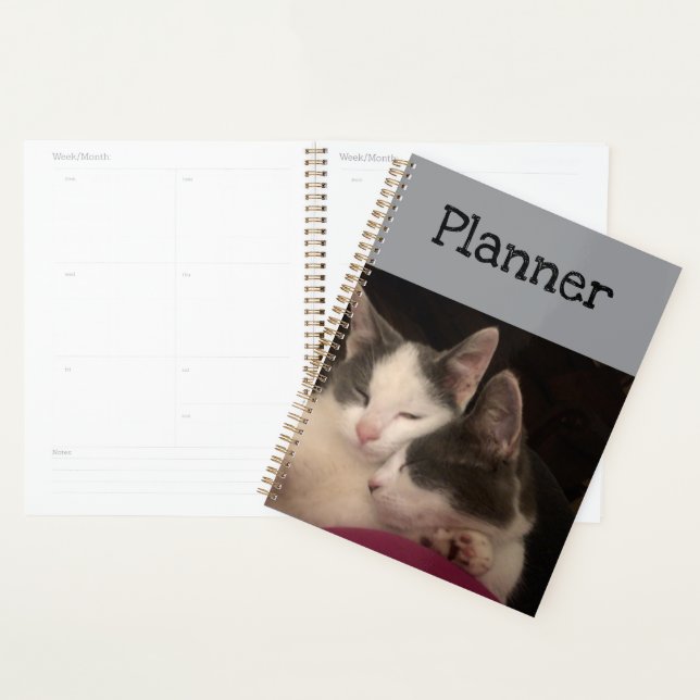 Sleeping kitty's planner (Display)