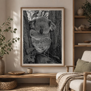 Sleeping Koala Australian Wildlife Poster