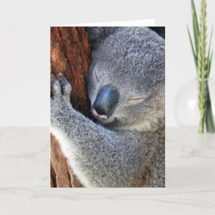 Sleeping Koala Holiday Card
