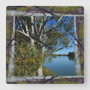 Sleeping Koala In Tree Over River, Square Wall Clock