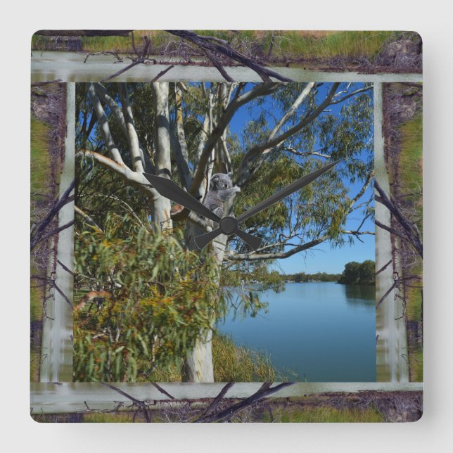 Sleeping Koala In Tree Over River, Square Wall Clock (Front)