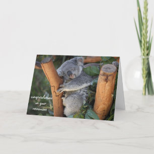 Sleeping Koala, Retirement Congratulations, Card