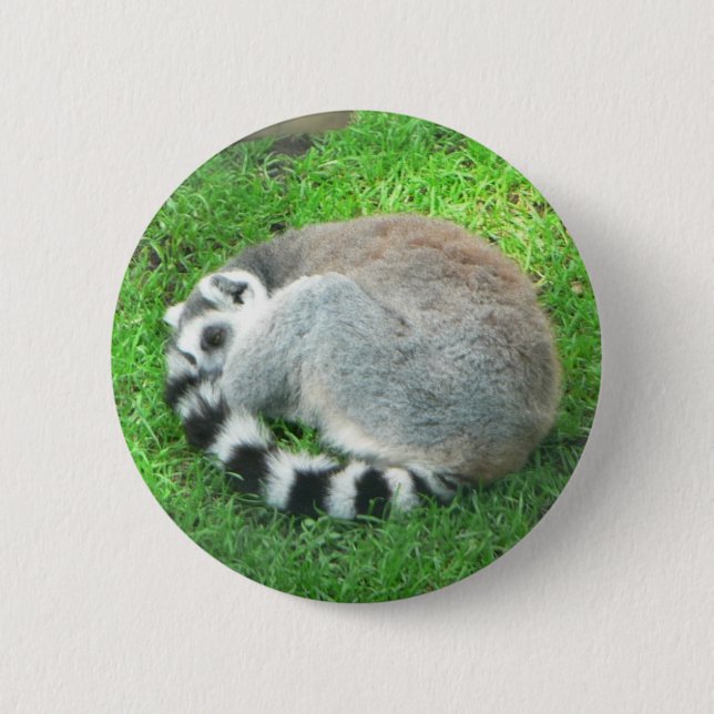 Sleeping Lemur On Grass 6 Cm Round Badge (Front)