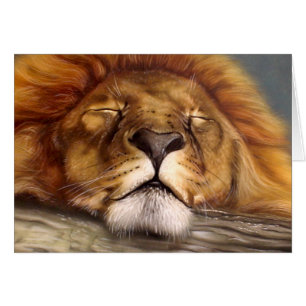 Sleeping Lion