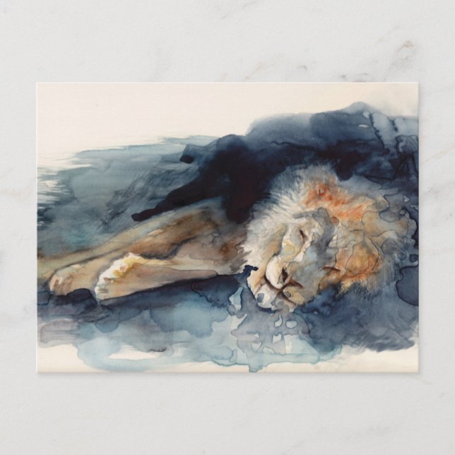 sleeping lion postcard (Front)