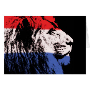 Sleeping lion profile