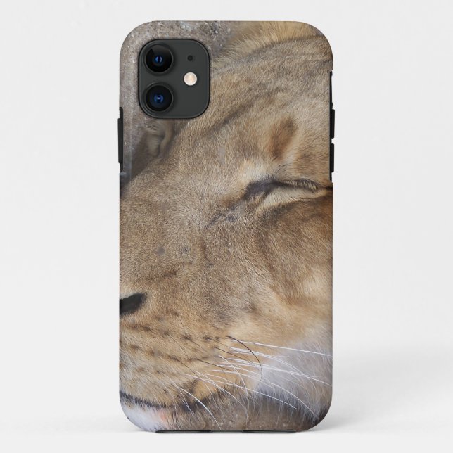 Sleeping Lioness Case-Mate iPhone Case (Back)