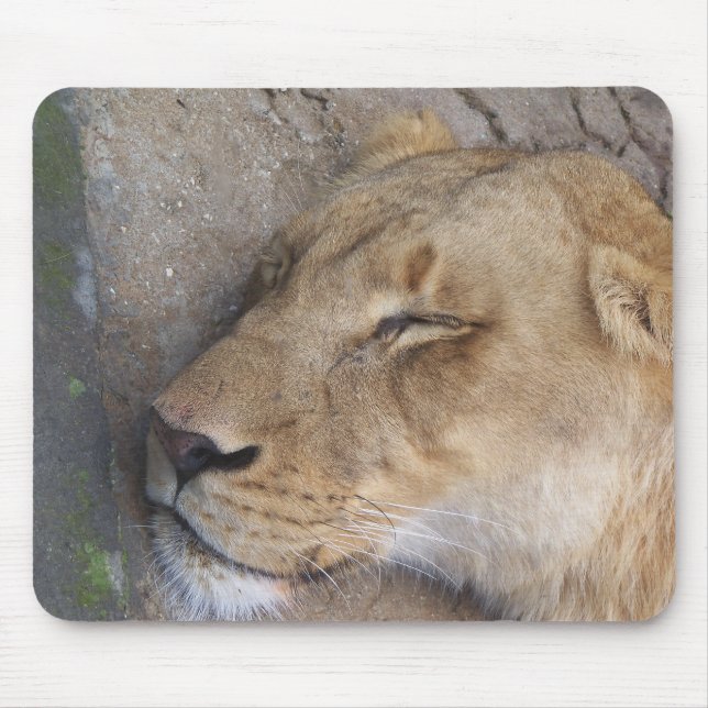 Sleeping Lioness Mouse Pad (Front)