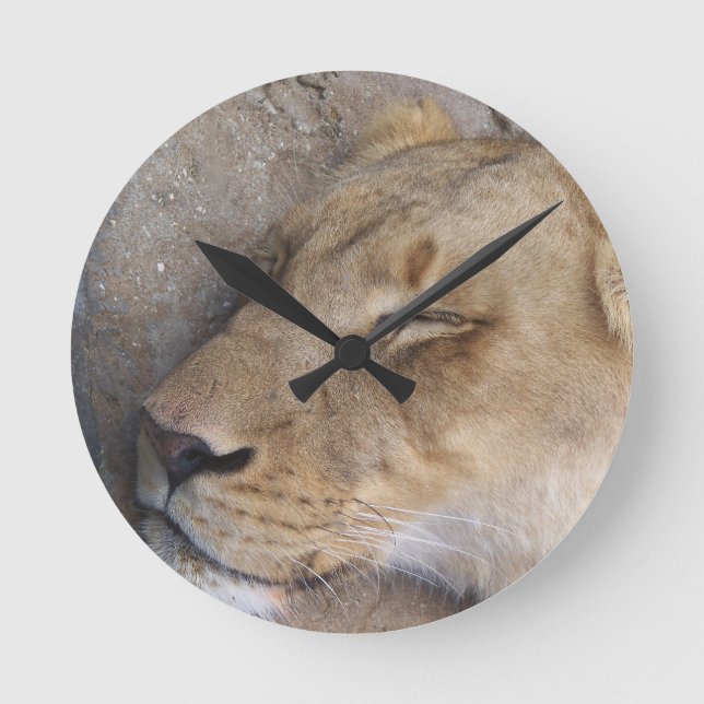 Sleeping Lioness Round Clock (Front)