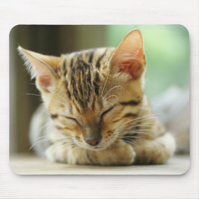 Sleeping Little Baby Kitty Mouse Pad (Front)