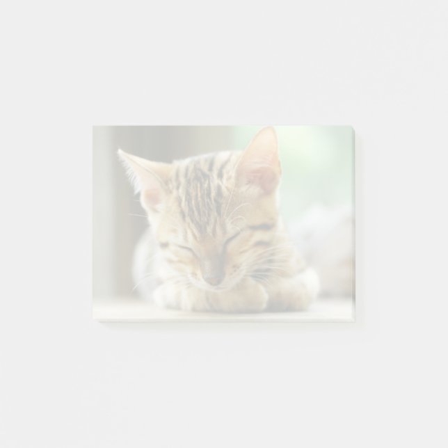 Sleeping Little Baby Kitty Post-it Notes (Front)