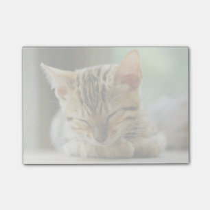 Sleeping Little Baby Kitty Post-it Notes