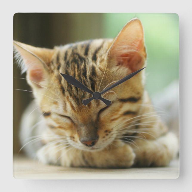 Sleeping Little Baby Kitty Square Wall Clock (Front)